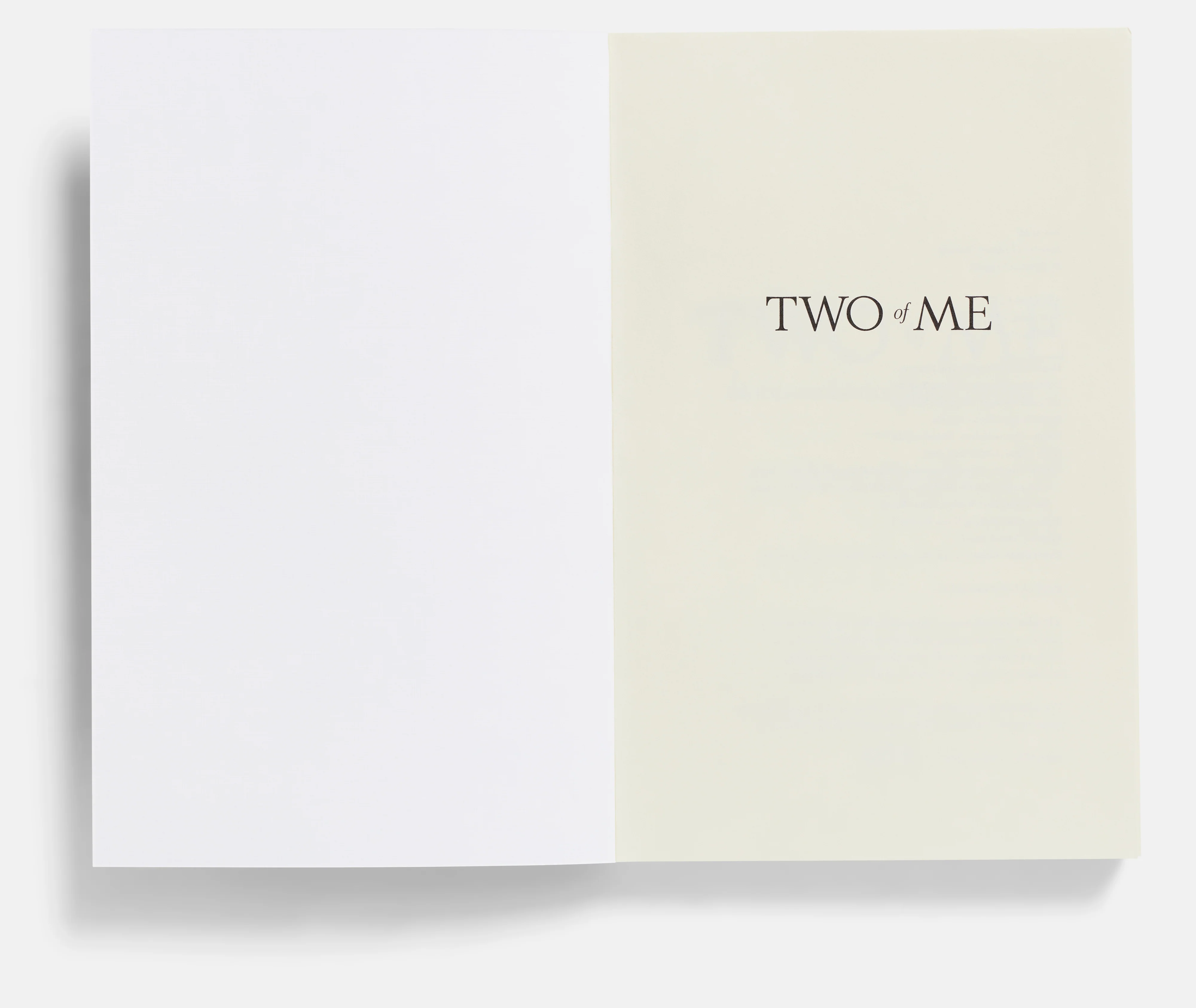 Two of Me by Eleanor Coppola - Image 2